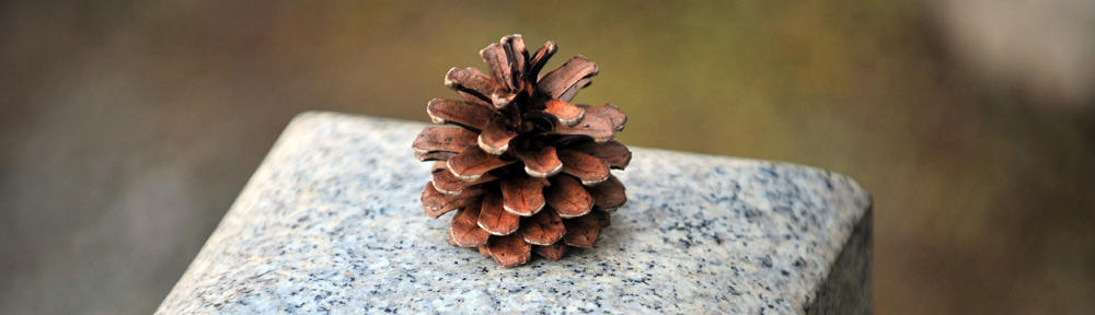 Litchfiled Real Estate